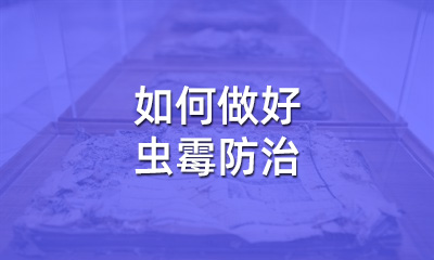檔案修復后，如何做好蟲霉防治